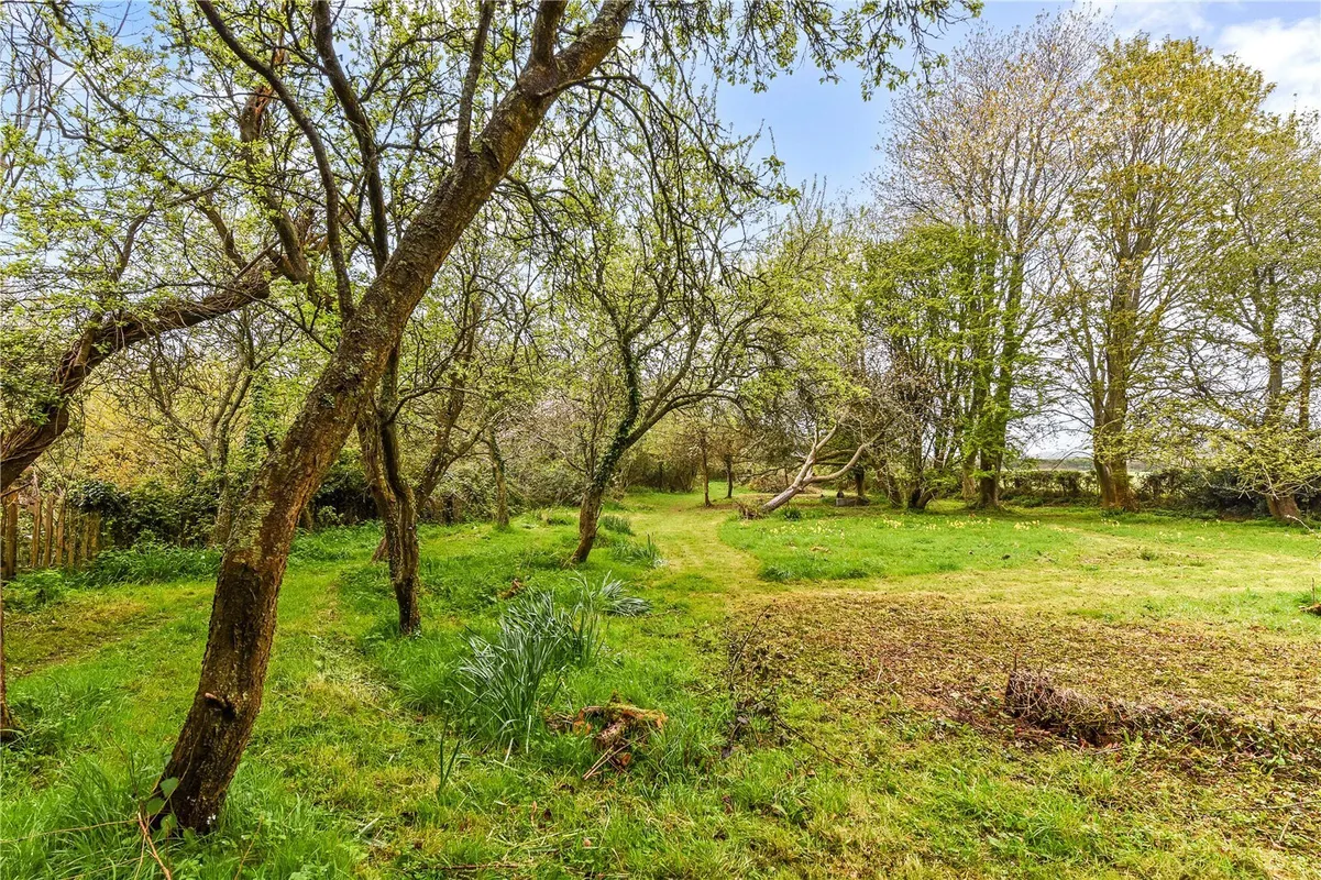 Forestside, Rowland's Castle, Hampshire, PO9