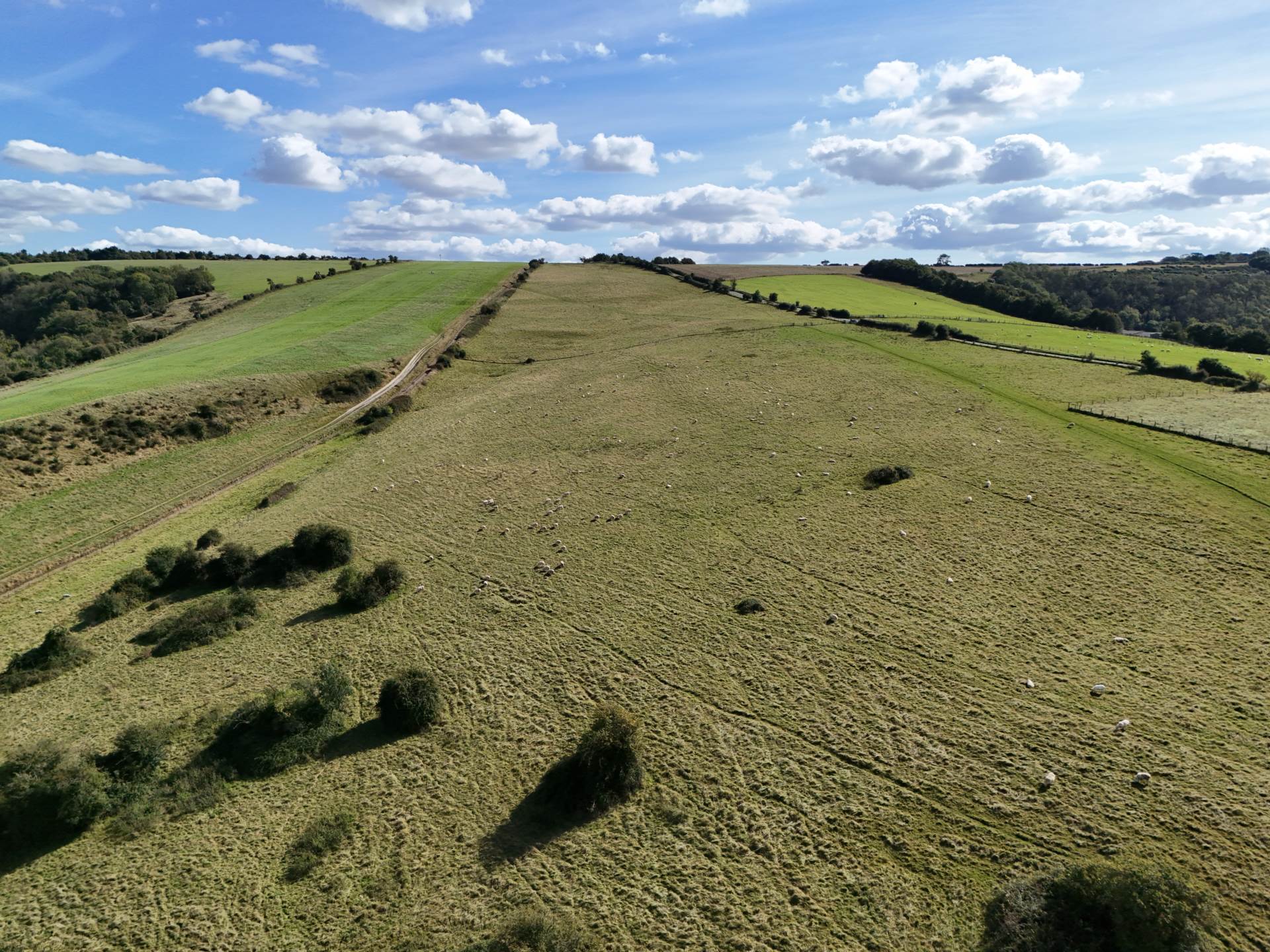 Lot 1 - Okeford Fitzpaine, Dorset Image 3