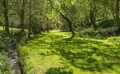 Property image gallery