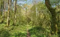 Property image gallery