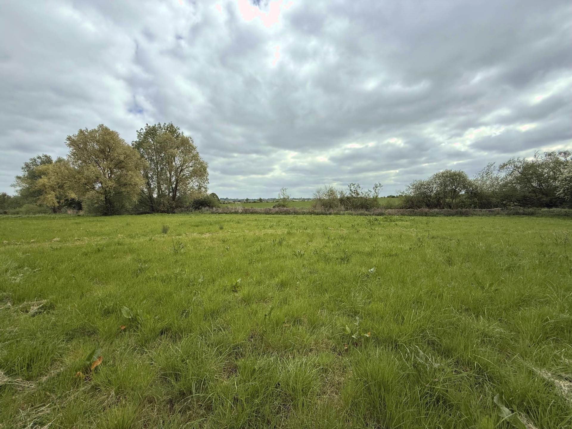 Wiltshire Image 6