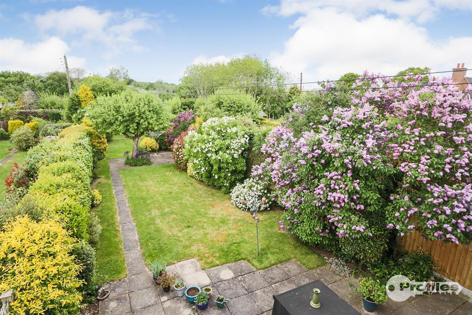 Aston Lane, Aston Flamville Image 19
