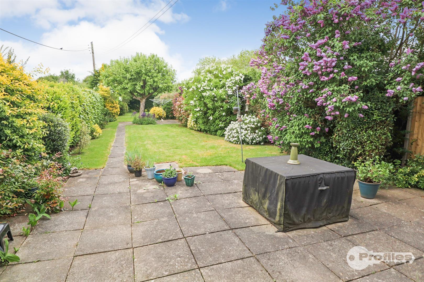 Aston Lane, Aston Flamville Image 20