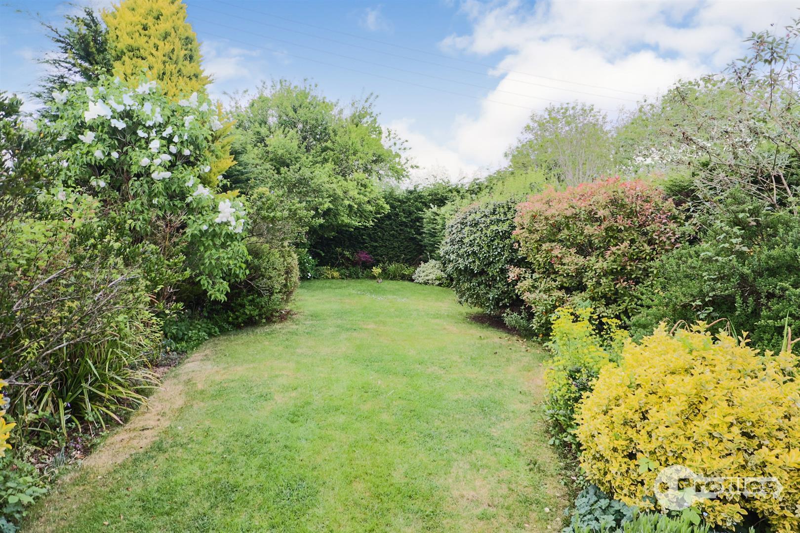 Aston Lane, Aston Flamville Image 21