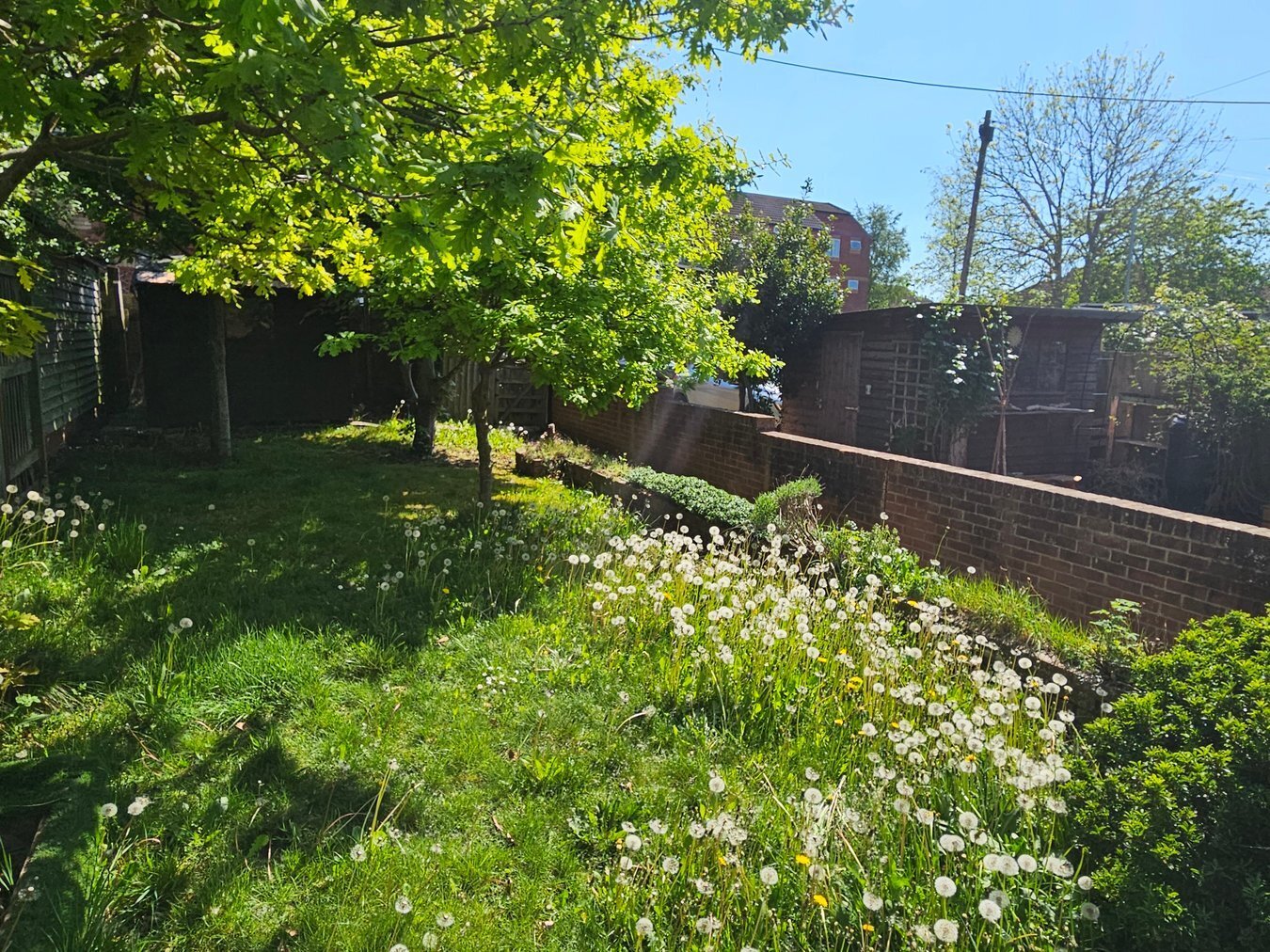 Orchard Terrace, Glastonbury, BA6