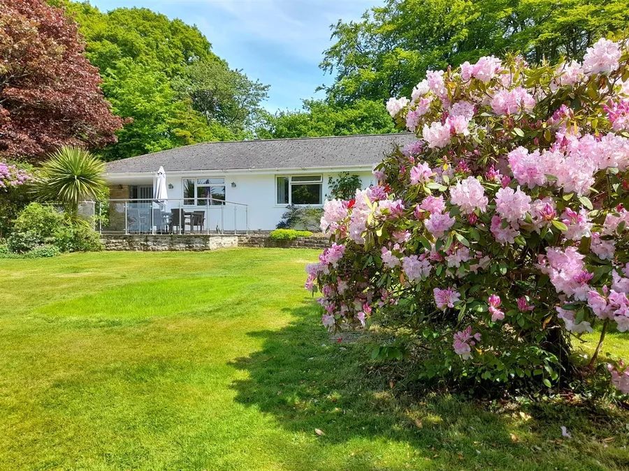Property Image 49