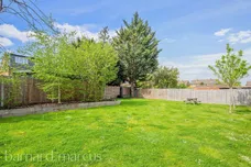 Cox Lane, Epsom