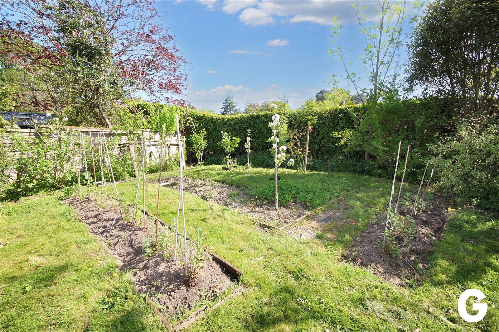 Clough Lane, Burley, Ringwood, Hampshire, BH24 Image 21