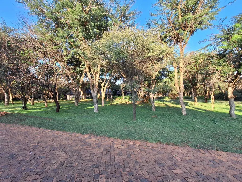 South Africa, North West, K'shane, Fever Lane, 651
