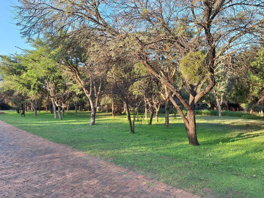 South Africa, North West, K'shane, Fever Lane, 651