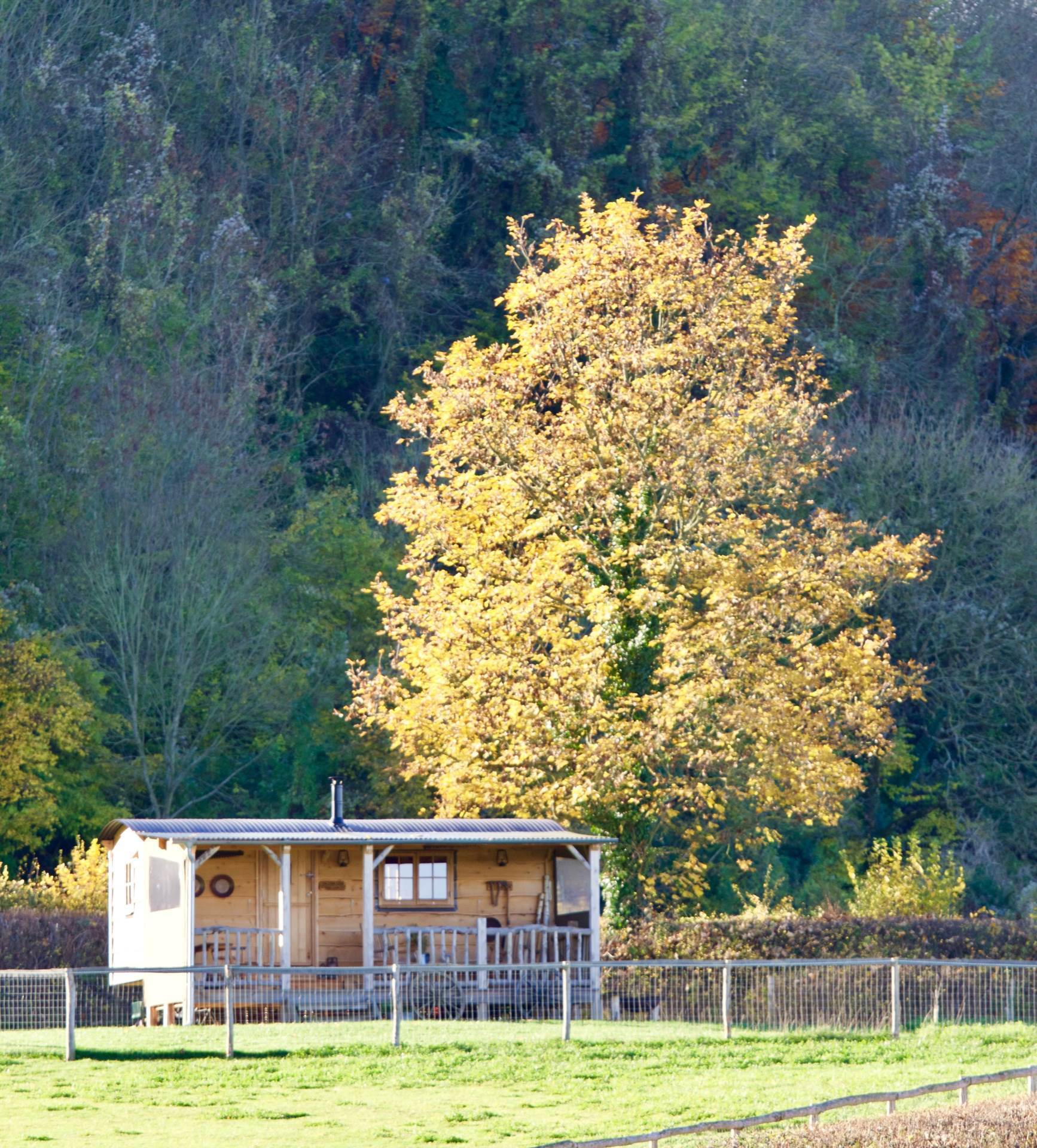 Shillingstone, Blandford Forum Image 19