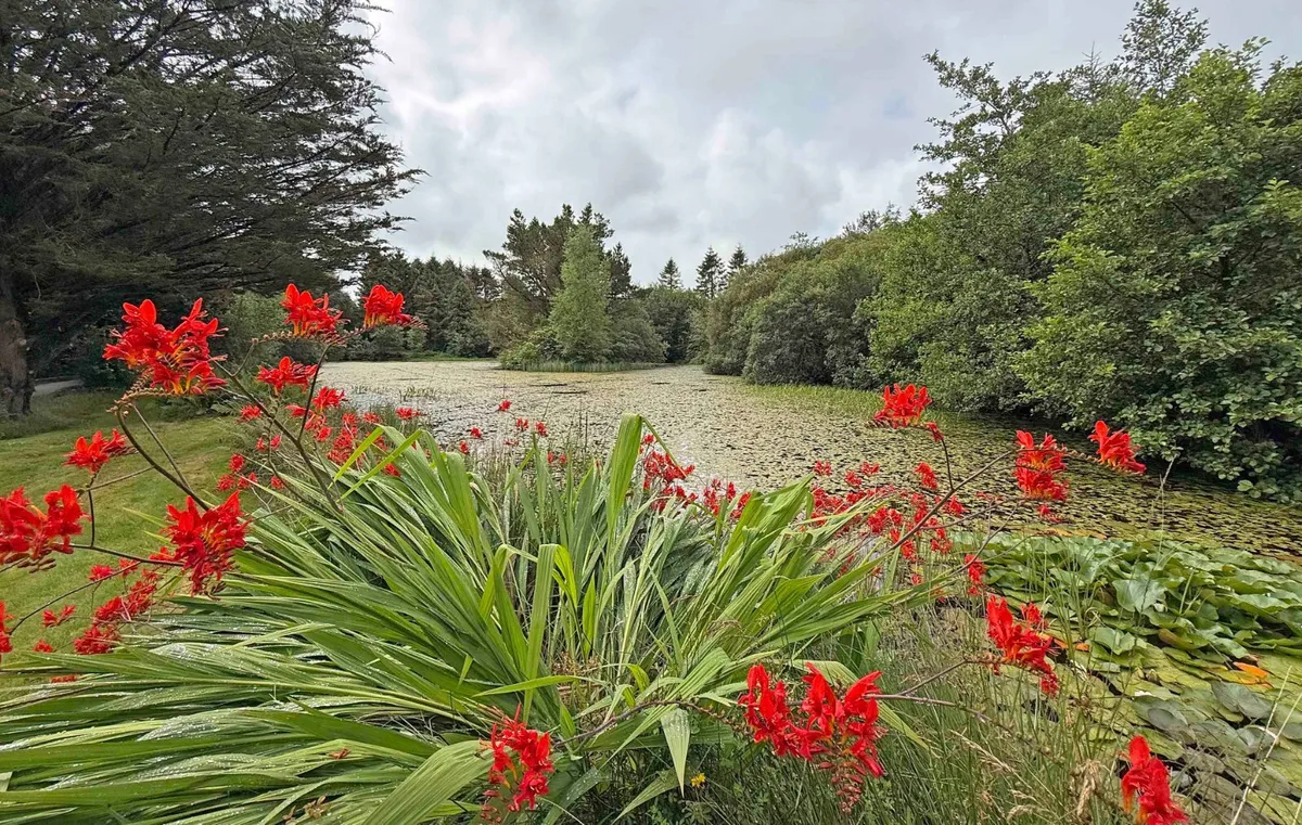Garndolbenmaen, Gwynedd, LL51