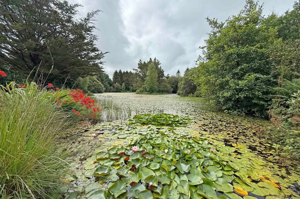 Garndolbenmaen, Gwynedd, LL51