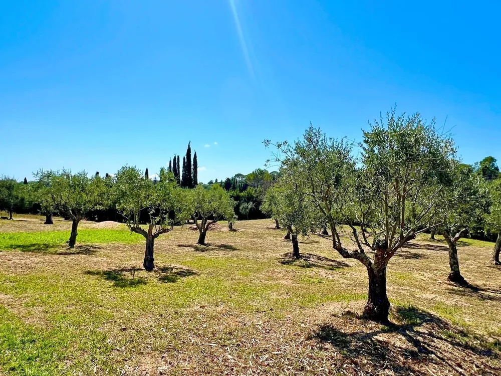 Mouans-Sartoux, 06370, France