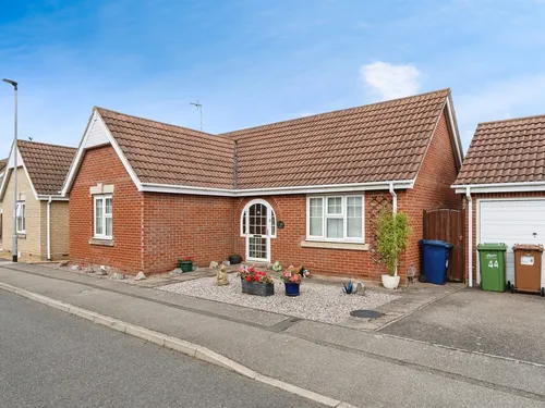 Foxglove Way, Marchphoto