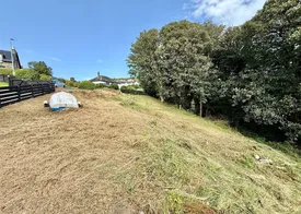 Property responsive