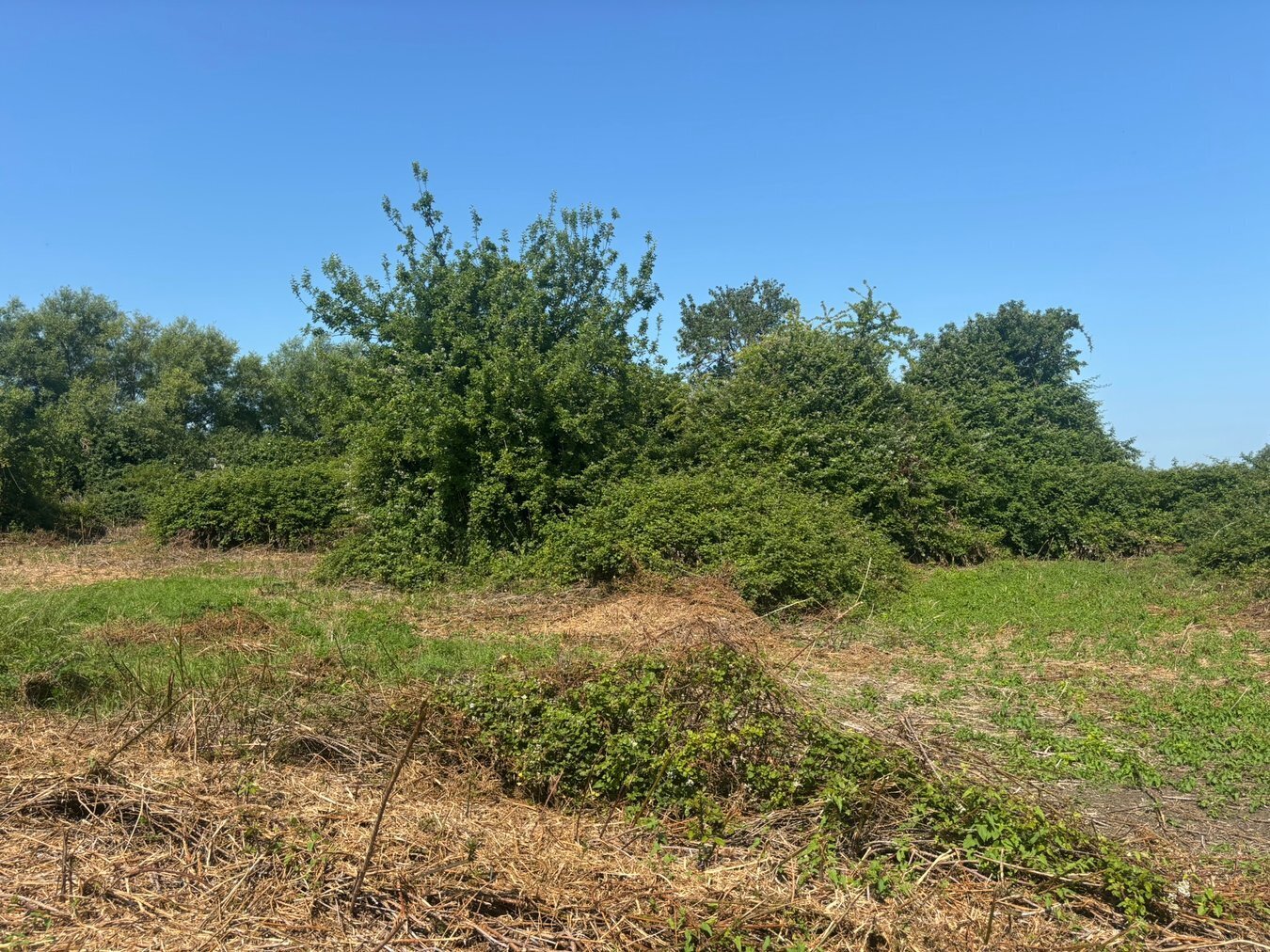 Glastonbury Road, Meare, BA6