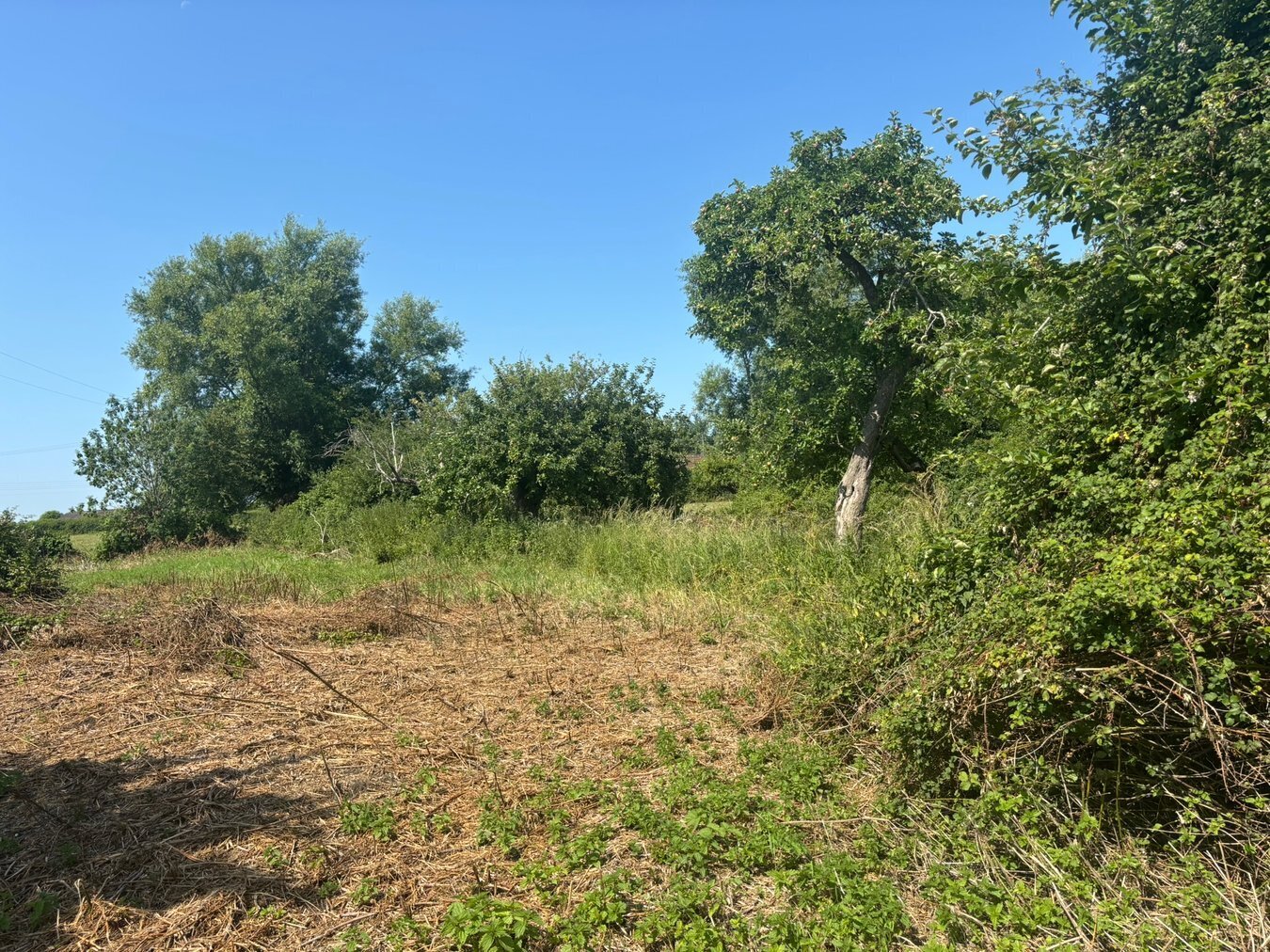 Glastonbury Road, Meare, BA6