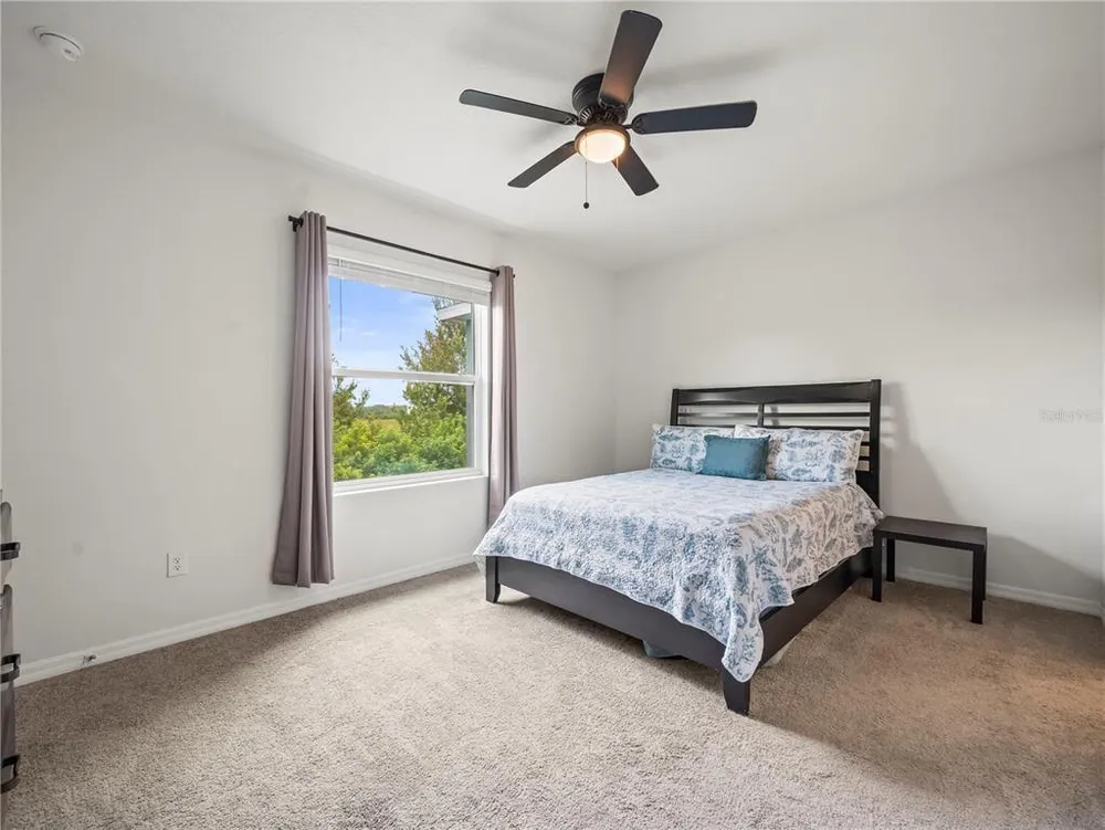 2886 Suncoast Plains Dr, Odessa, FL 33556