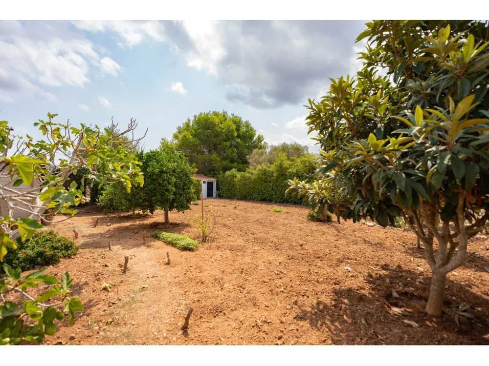 1, Sant Lluis