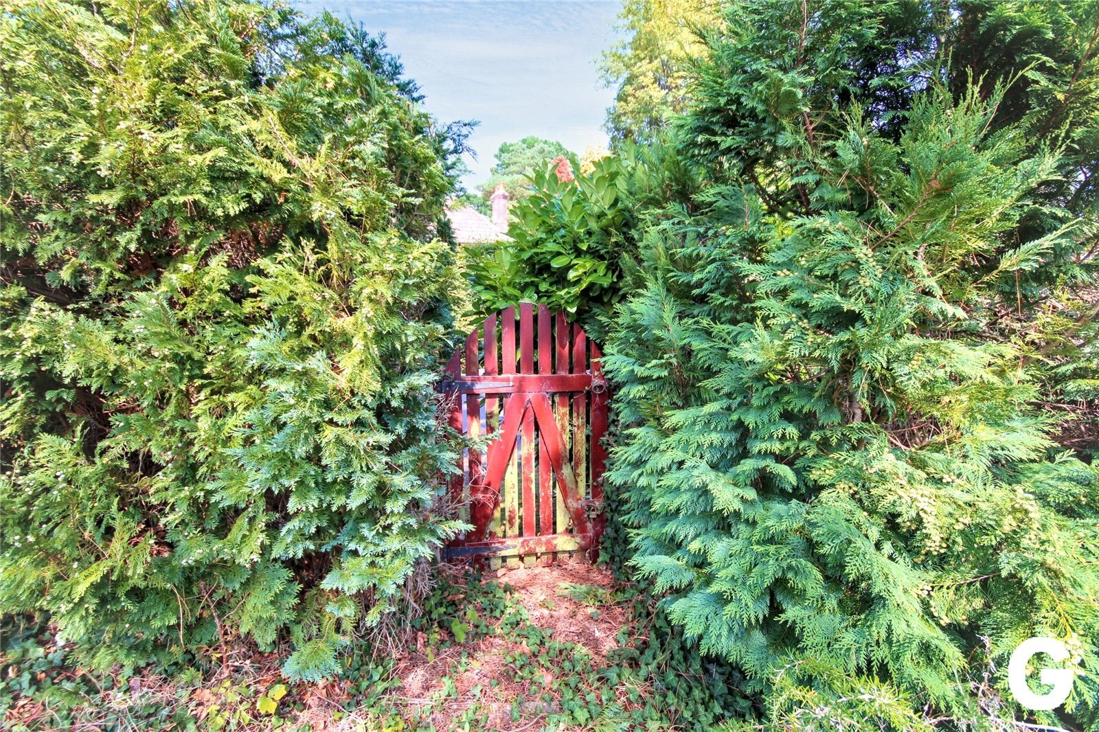 Golf Links Road, Ferndown, Dorset, BH22 Image 22