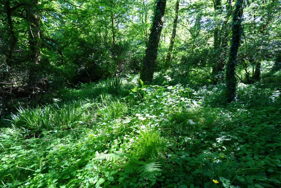 Property Image 30