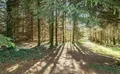 Property image gallery