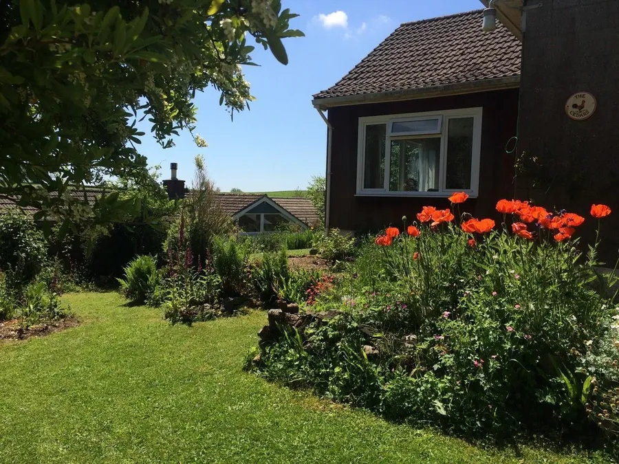 Property Image 36