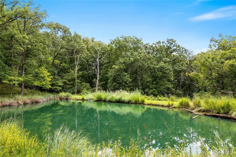 4 Upper Whitmoor Dr, Weldon Spring, MO 63304