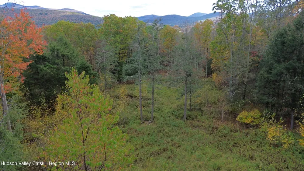 N Ridge Extension, Windham, NY 12496