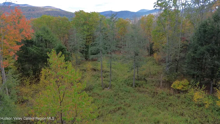 N Ridge Extension, Windham, NY 12496