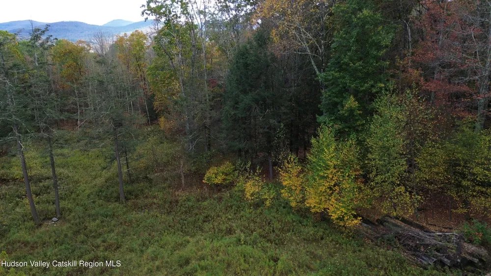 N Ridge Extension, Windham, NY 12496