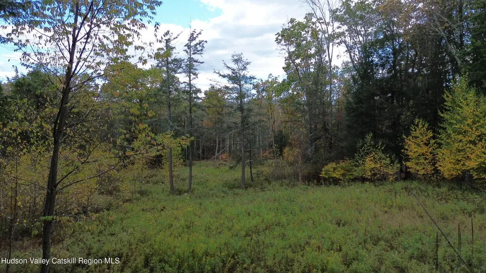 N Ridge Extension, Windham, NY 12496