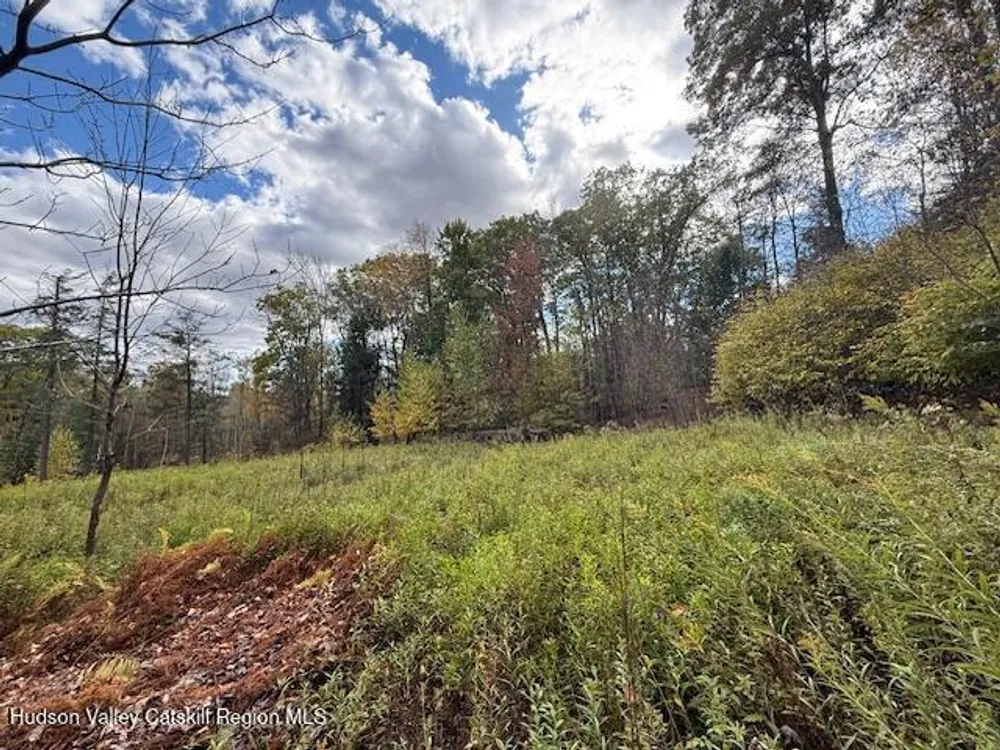N Ridge Extension, Windham, NY 12496