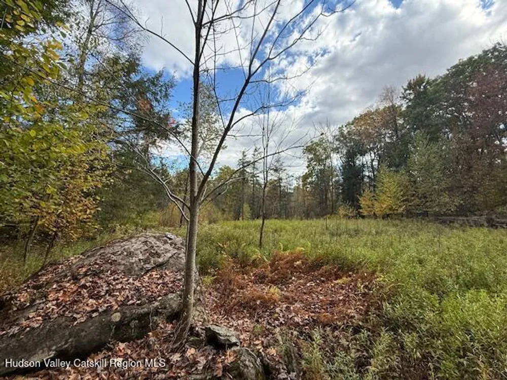 N Ridge Extension, Windham, NY 12496