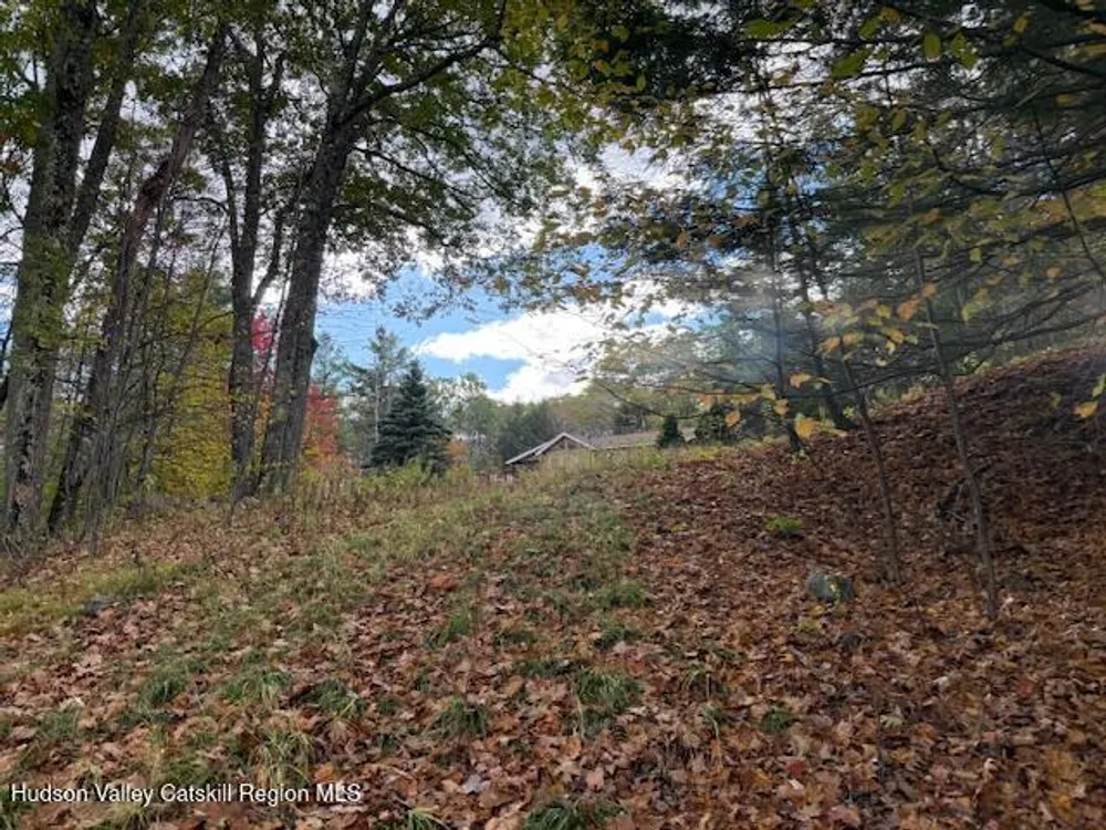 N Ridge Extension, Windham, NY 12496