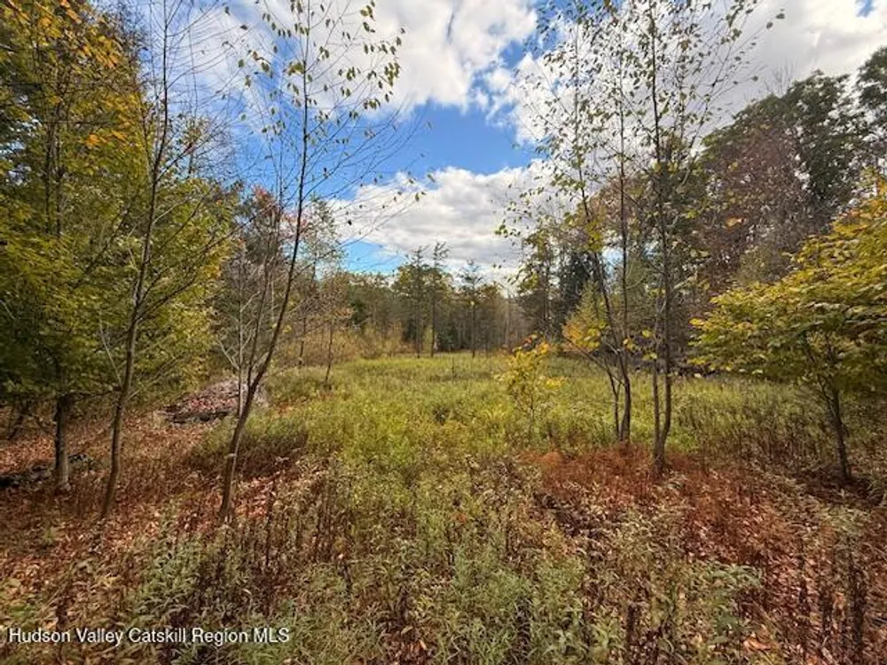 N Ridge Extension, Windham, NY 12496
