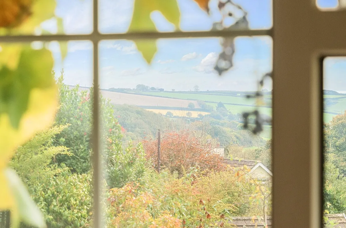 Stile Orchard, Kingsbridge