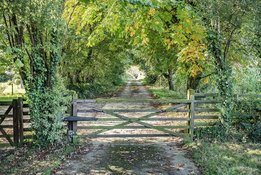 Property Image 33