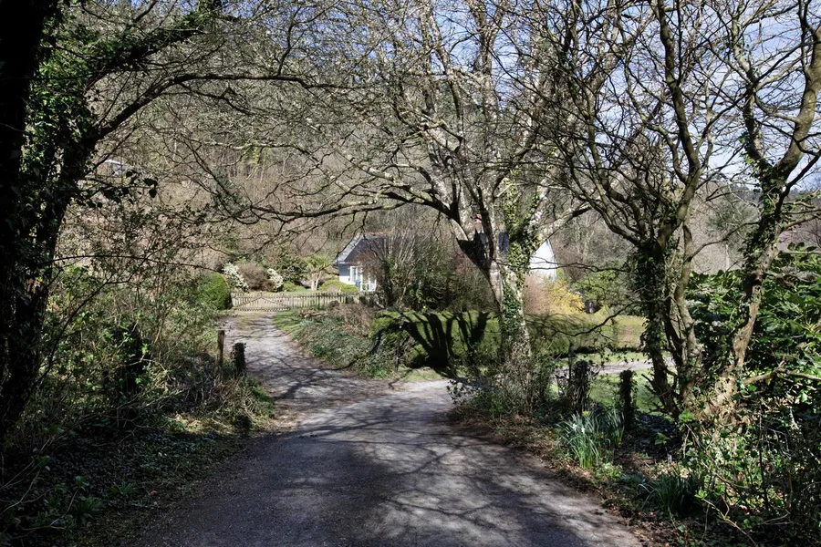 Property Image 41
