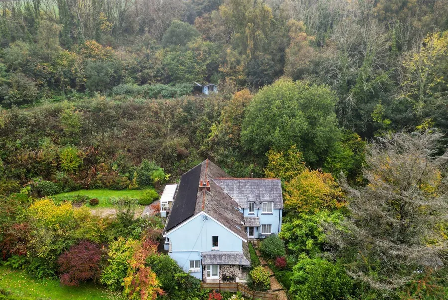 Property Image 60