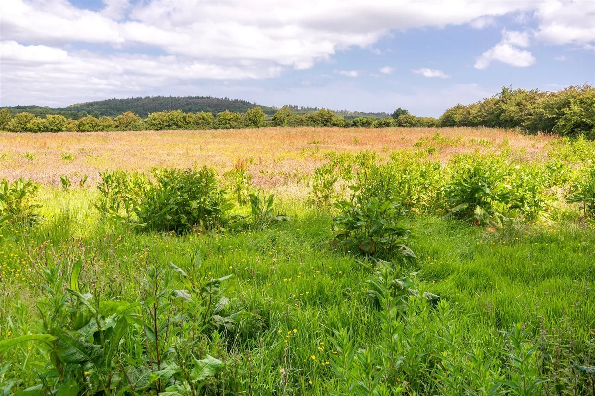 Pentraeth, Isle of Anglesey, LL75