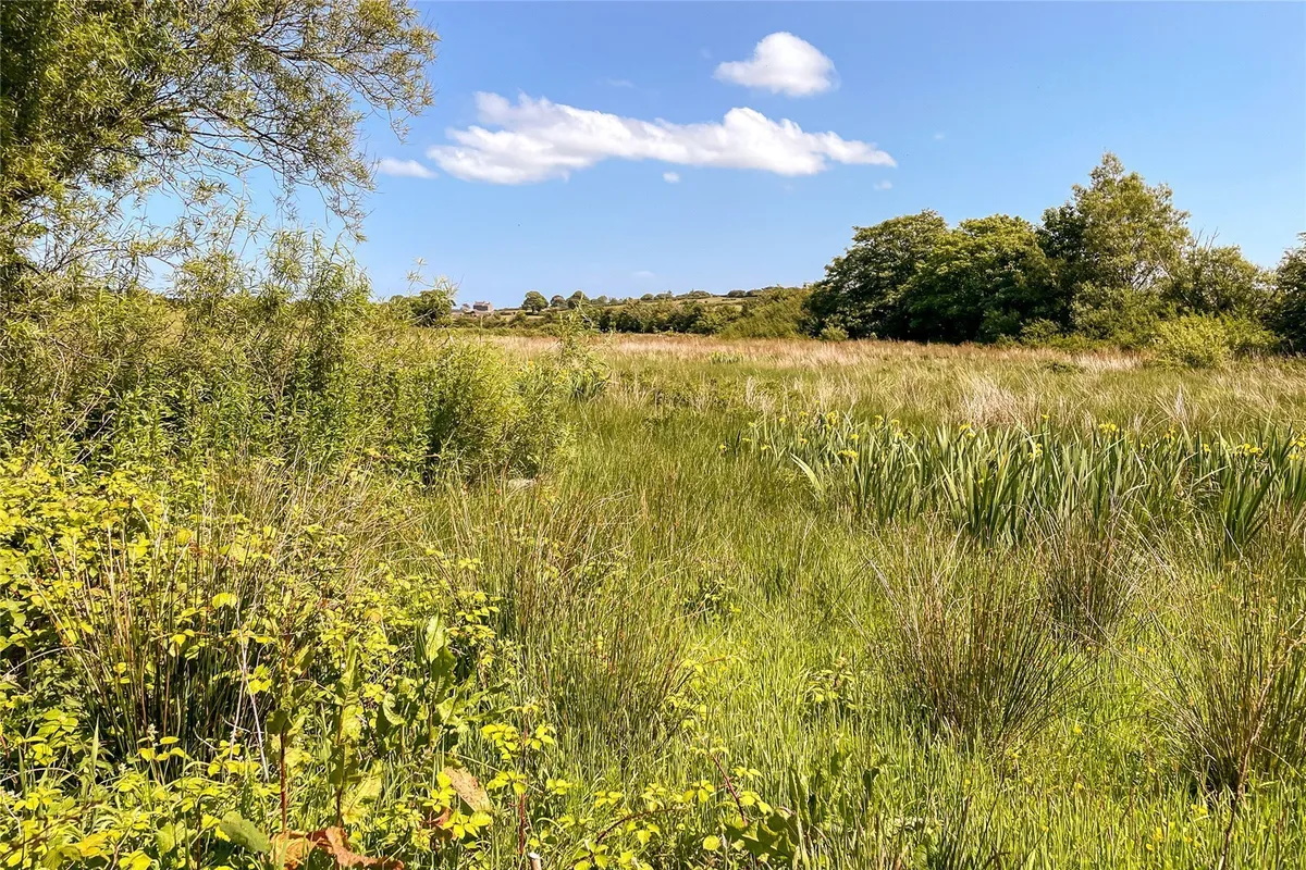 Pentraeth, Isle of Anglesey, LL75