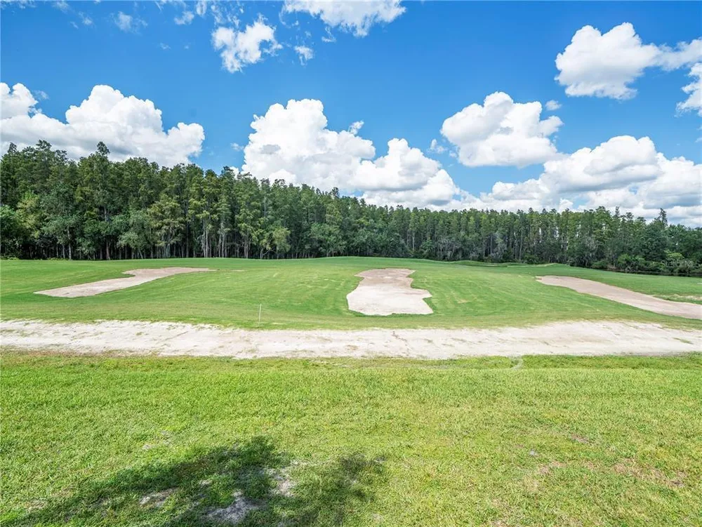 4529 Cheval Blvd, Lutz, FL 33558