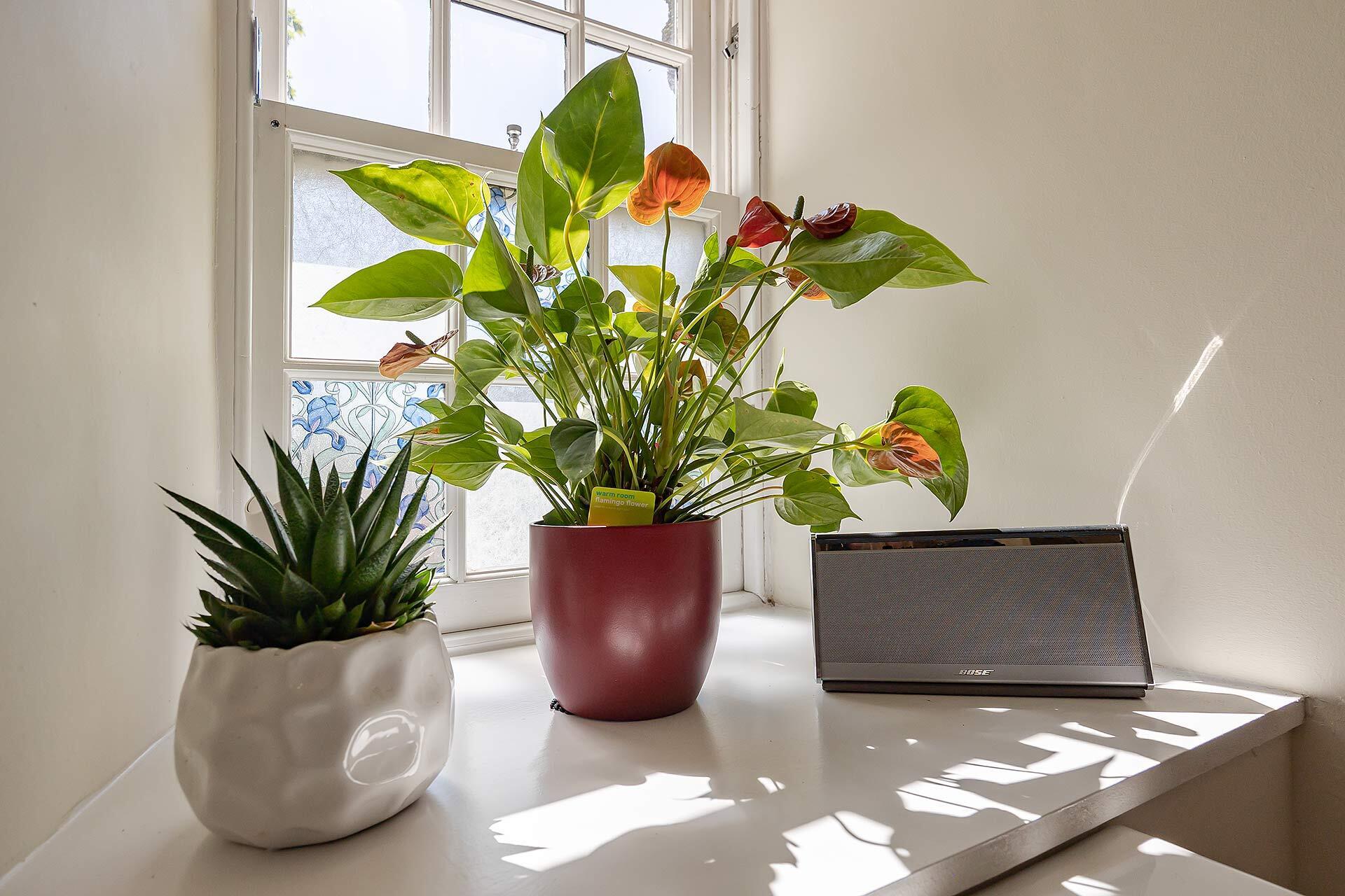 Second Floor Flat, West Port House, Preston Road, Linlithgow, EH49 7AX Image 12