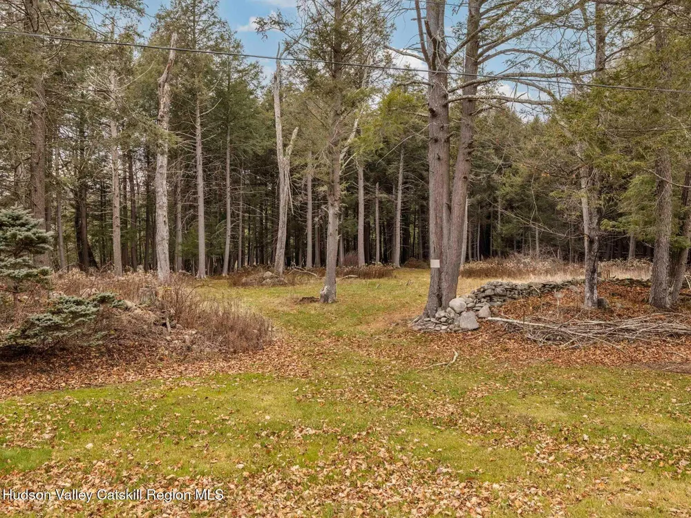 215 Siam Rd, Windham, NY 12496