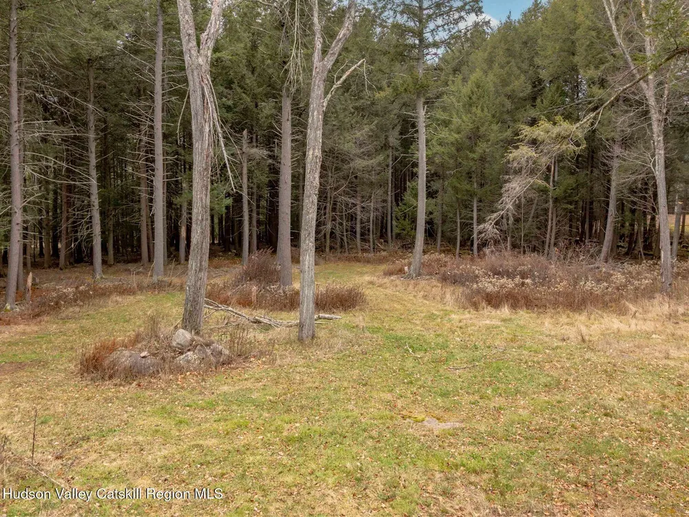 215 Siam Rd, Windham, NY 12496