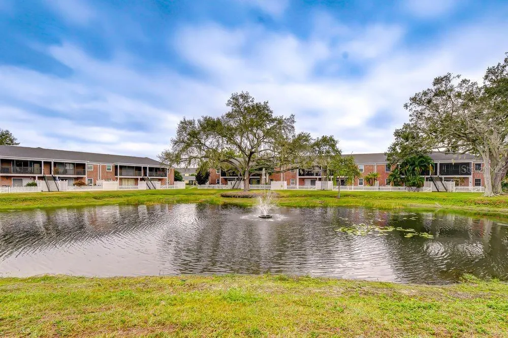 13693 Orange Sunset Dr, Tampa, FL 33618