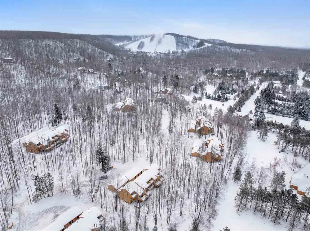 4749 S Pleasantview Rd, Harbor Springs, MI 49740