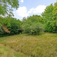 Property 24